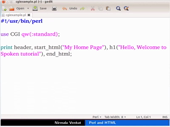 Perl and HTML - thumb