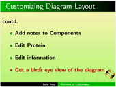 Overview of CellDesigner - thumb